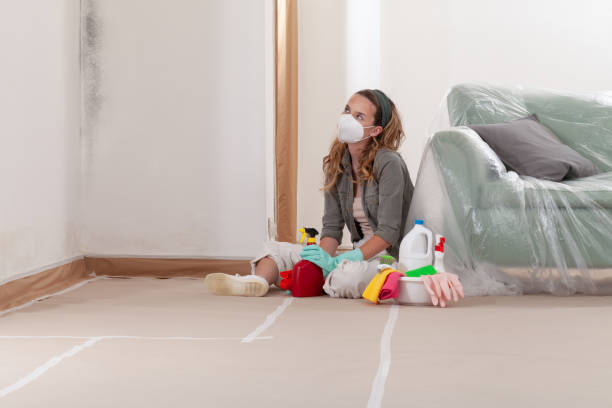 Reliable Mold Remediation contractor in Englishtown, NJ by Cheap Mold Removal